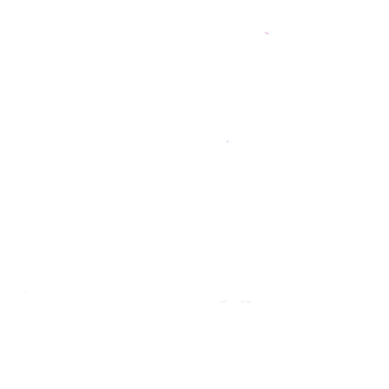 Eva Bolos Criativos